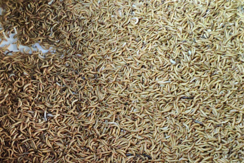 1621573858114498.jpg 1621573858114498.jpg