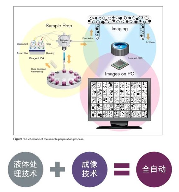 164924_135335_jswz.png beck7.png