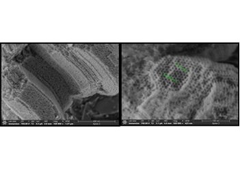 171351_902993_jswz.jpg 03.jpg