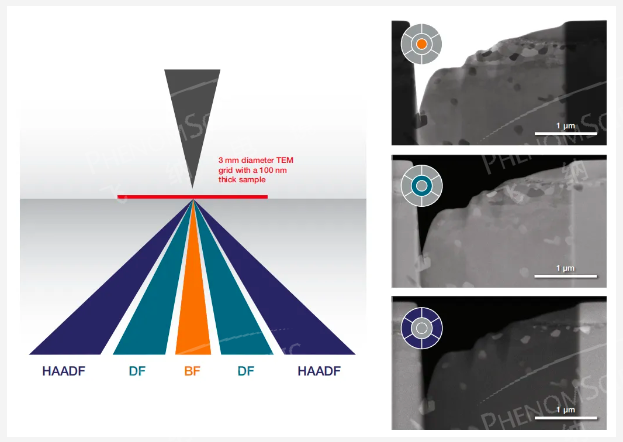 明场(BF)、暗场(DF)和高角度环形暗场(HAADF)成像示意图和成像对比图