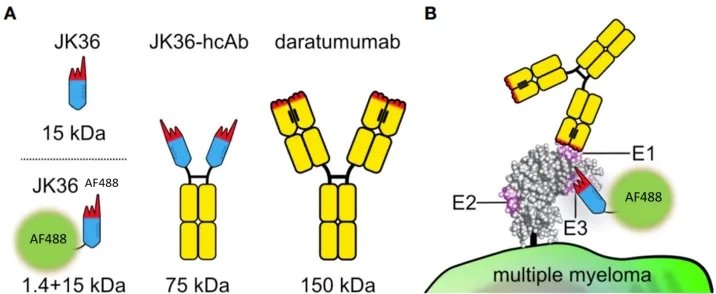 170428_281246_jswz.jpg 170428_281246_jswz.jpg