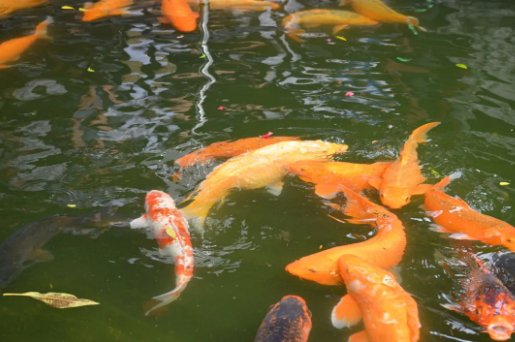 090601_239705_gsdt.png 090601_239705_gsdt.png