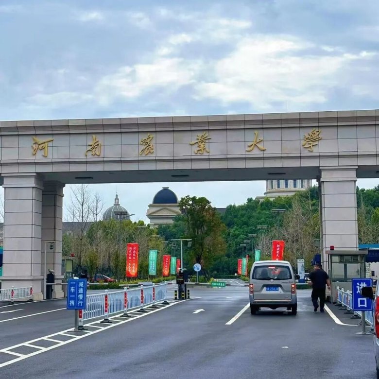 101618_087877_gsdt.jpg 101618_087877_gsdt.jpg