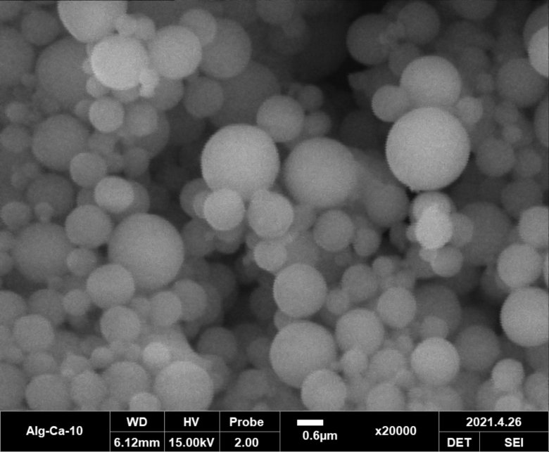 1621328016279932.jpg 1621328016279932.jpg