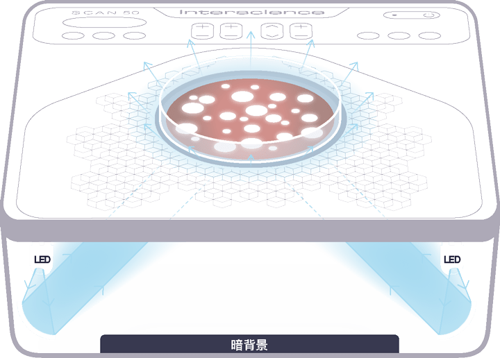 图片3.png 图片3.png