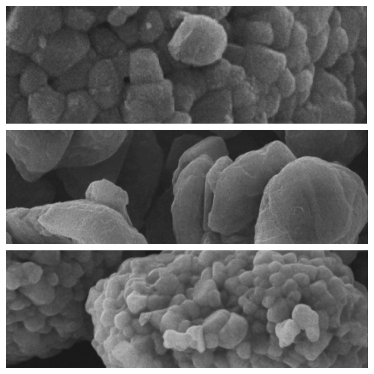 1677547299832137.jpg 1677547299832137.jpg