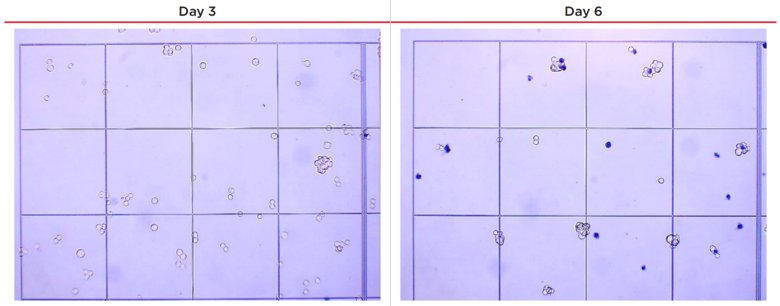 164740_163664_jswz.png 164740_163664_jswz.png