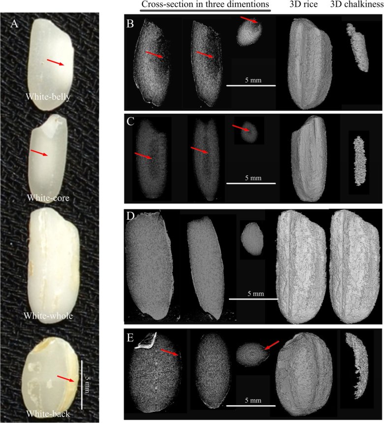 172125_707339_gsdt.png 172125_707339_gsdt.png