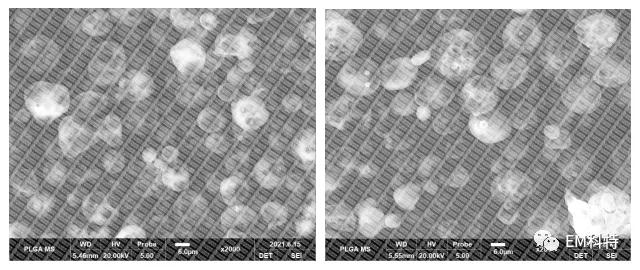 1630654408431145.jpg 微信图片_20210903153250.jpg