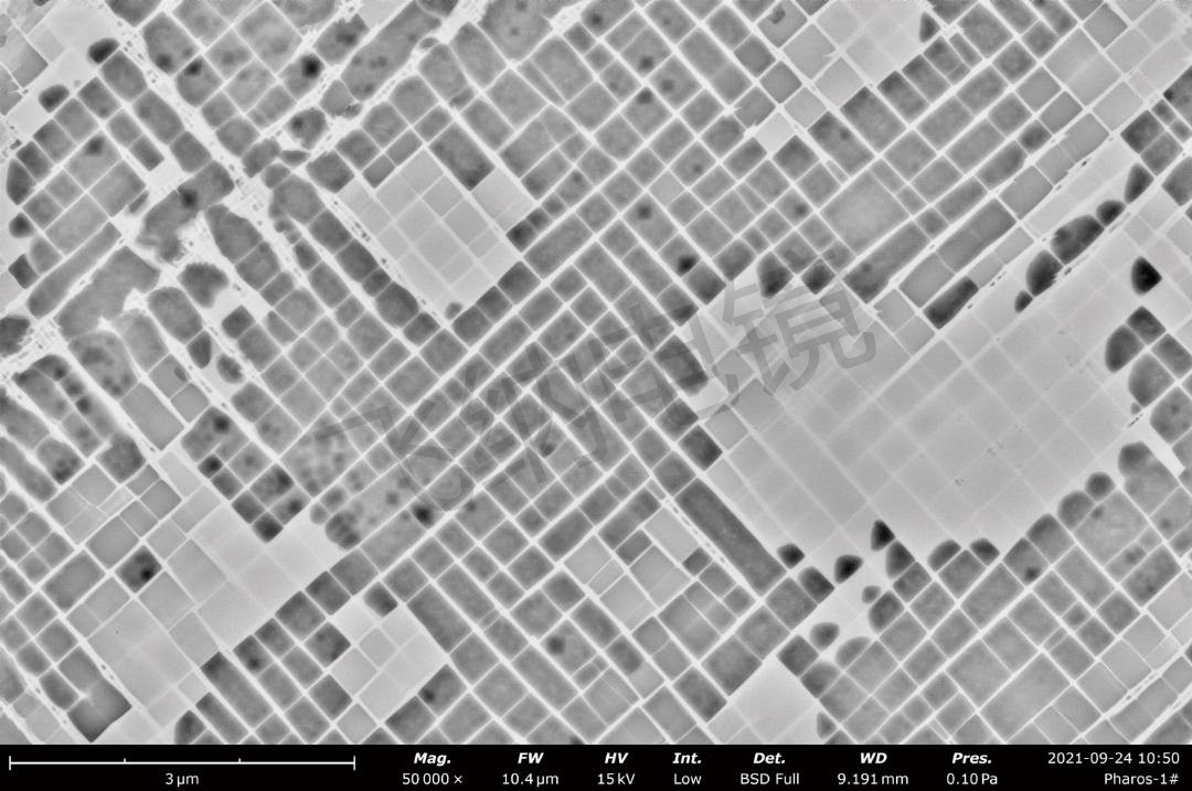 扫描电镜下腐蚀后的高温合金