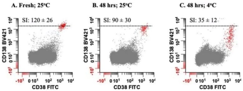 170329_936403_jswz.jpg 170329_936403_jswz.jpg