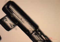 094803_927964_procont.jpg 1710467266731.jpg