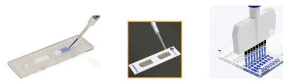 164819_506558_jswz.png beck4.png