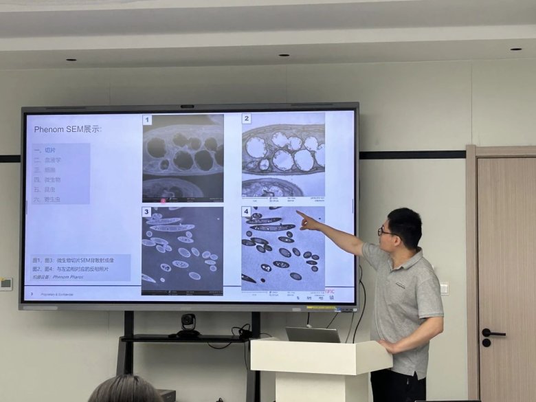 172015_090864_gsdt.jpg 172015_090864_gsdt.jpg