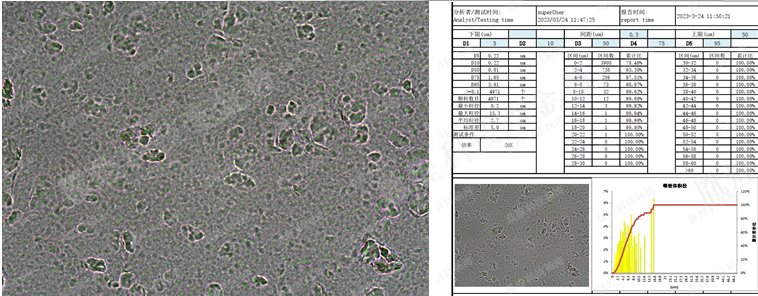 105159_304298_jswz.png image.png