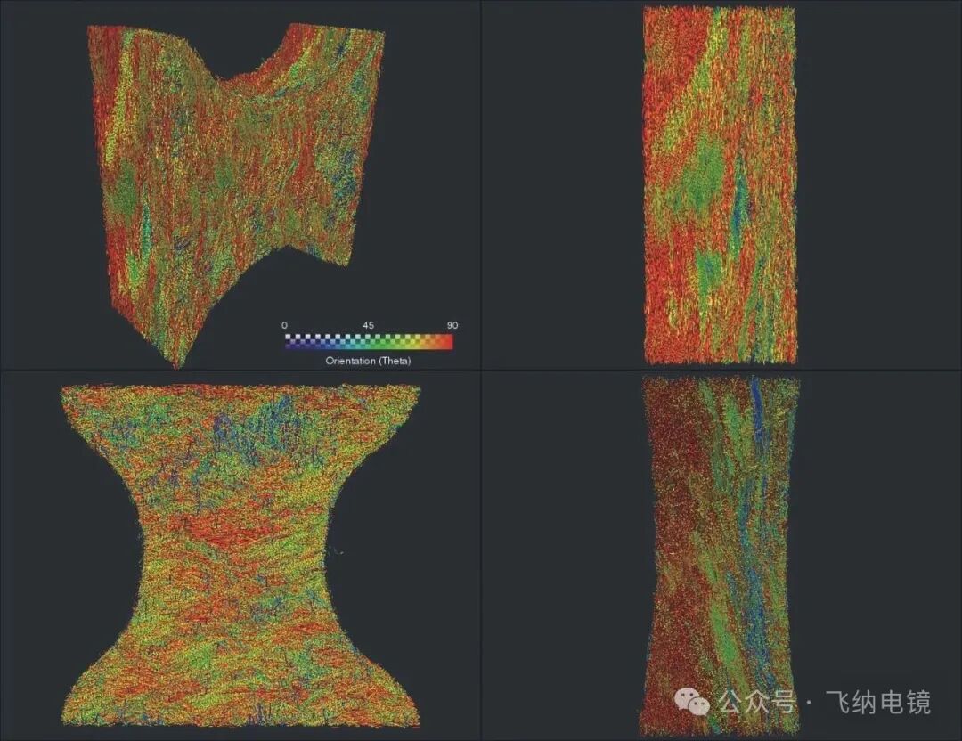 区域内纤维取向分布图