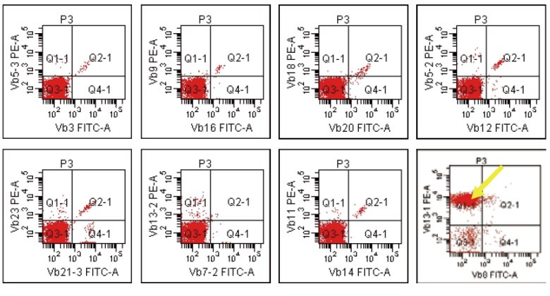 113232_688529_gsdt.png 113232_688529_gsdt.png