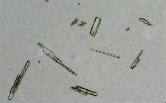 111306_030390_jswz.jpg 透皮乳膏粒度晶型分析仪设备.jpg