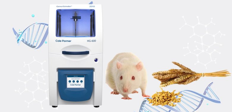 132545_557611_gsdt.jpg banner.jpg