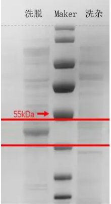 151249_198102_jswz.png 3-1.PNG