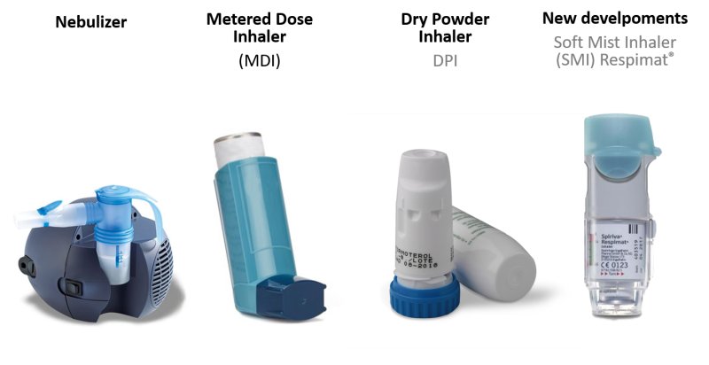 吸入剂专用激光粒度仪-粒度粒形分析仪 德国新帕泰克有限公司.png