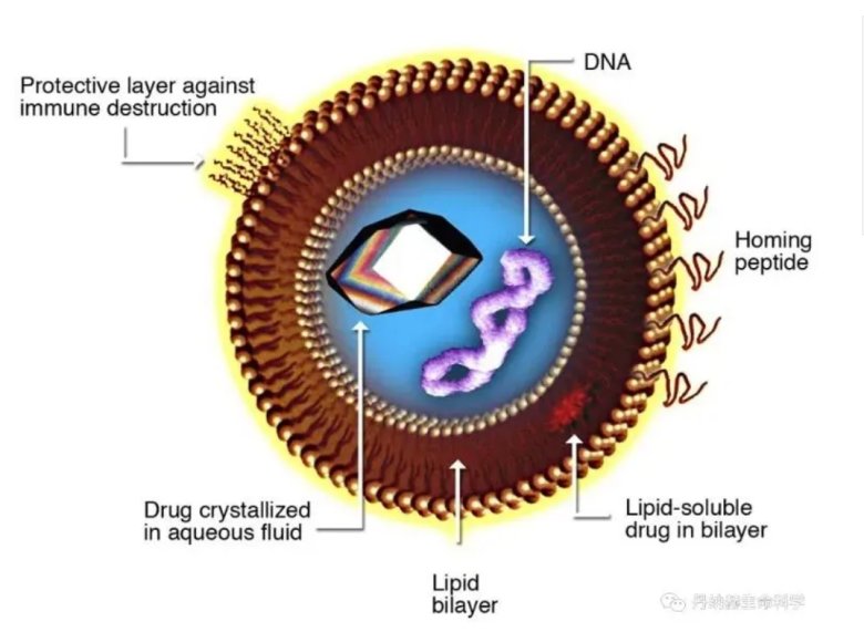 114854_598622_jswz.png 2.PNG