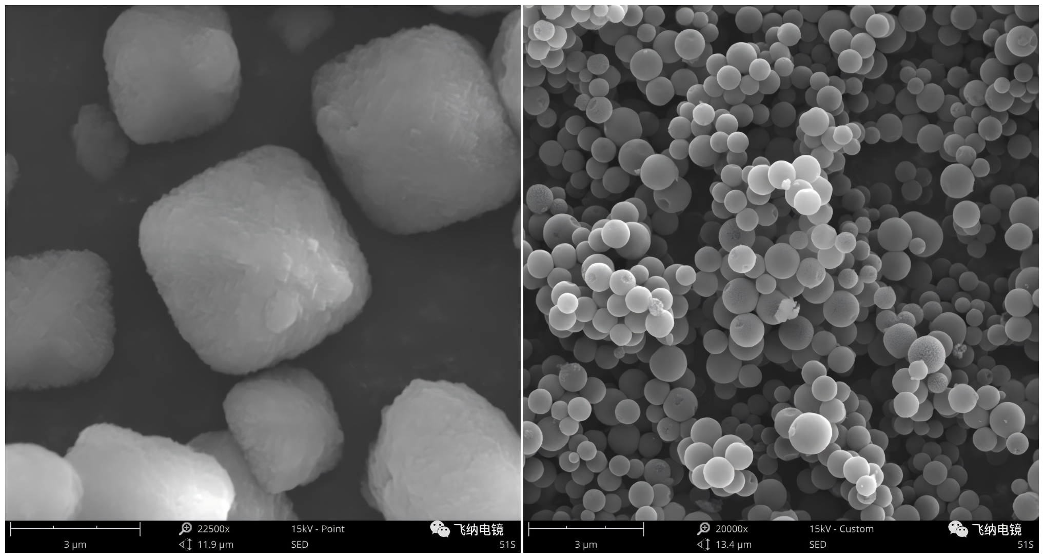 扫描电镜下的催化剂晶体颗粒