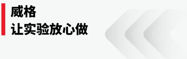 135446_563565_gsdt.png 135446_563565_gsdt.png