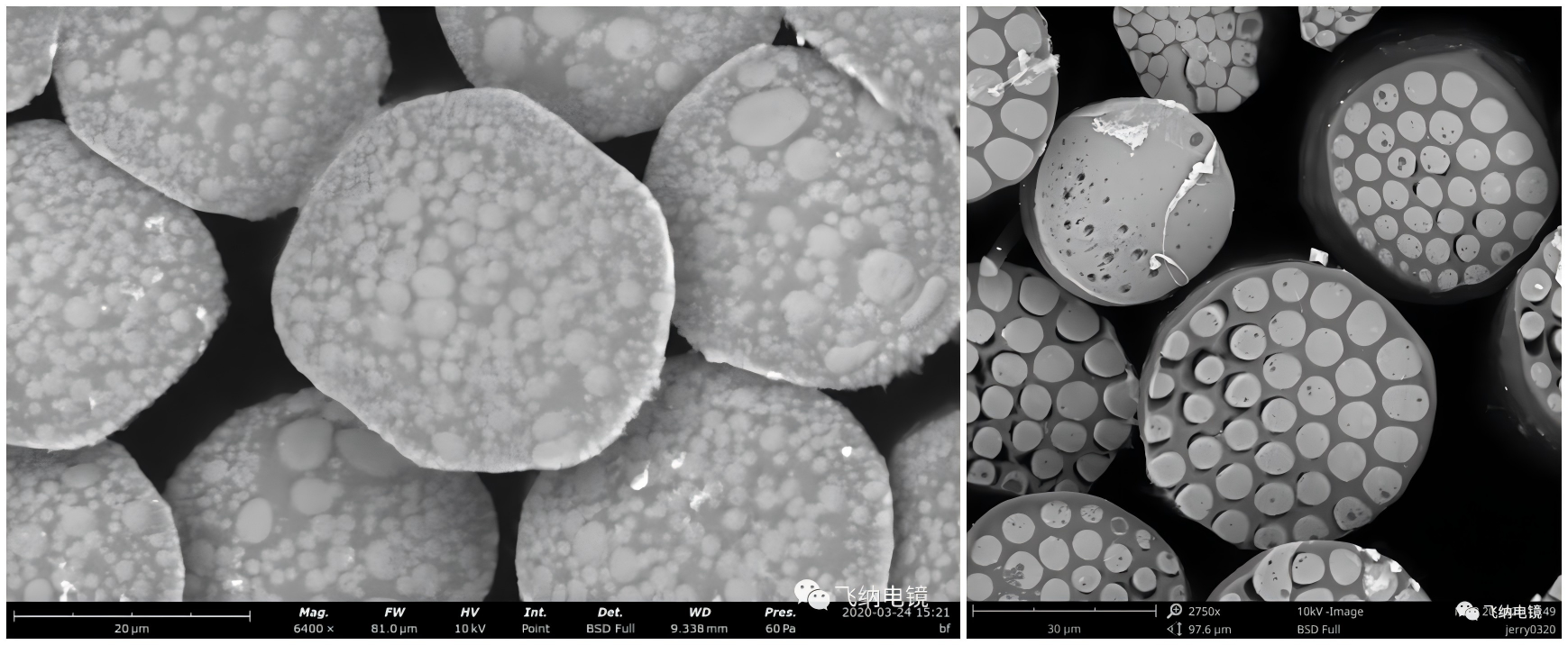 不喷金不定岛超纤和定岛超纤的扫描电镜(SEM)观察