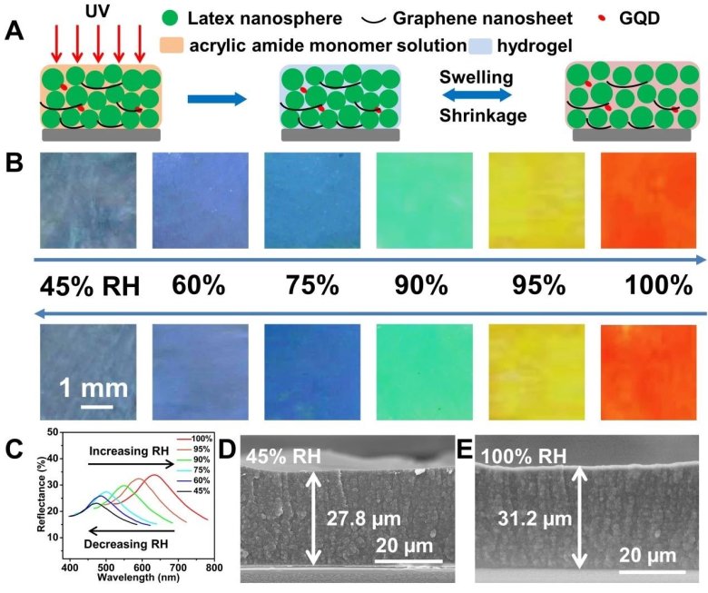 090311_175656_gsdt.jpg 微信图片_20250313090054.jpg