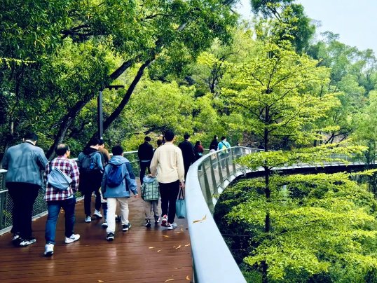 084045_611592_gsdt.png 084045_611592_gsdt.png