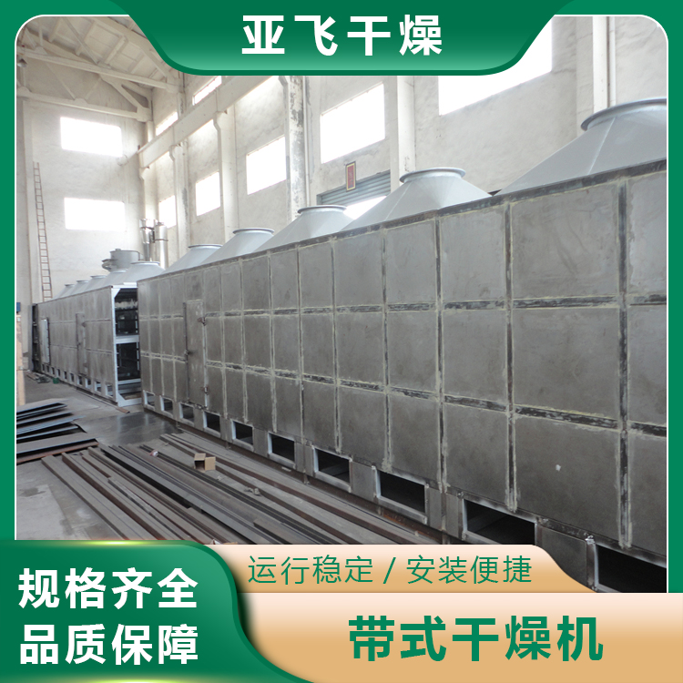 亚飞干燥 单层带式干燥机 脱水蔬菜烘干机 蒜粒烘干设备