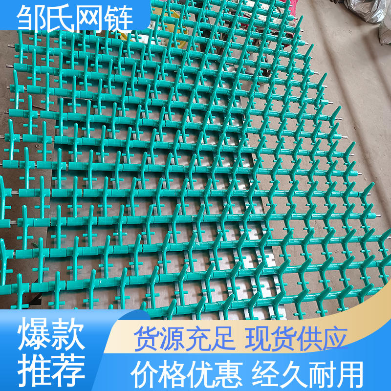 食品级尼龙网带 锅具茶具污垢细菌清洗输送带 运行平稳坚固 邹氏