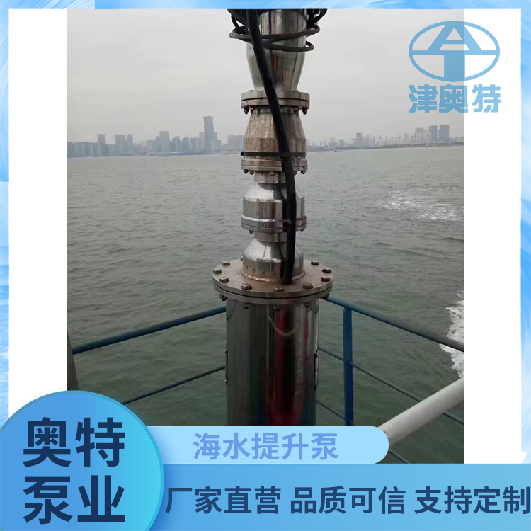 海洋工程大流量高压喷射泵 海水泵生产制造商 奥特泵业