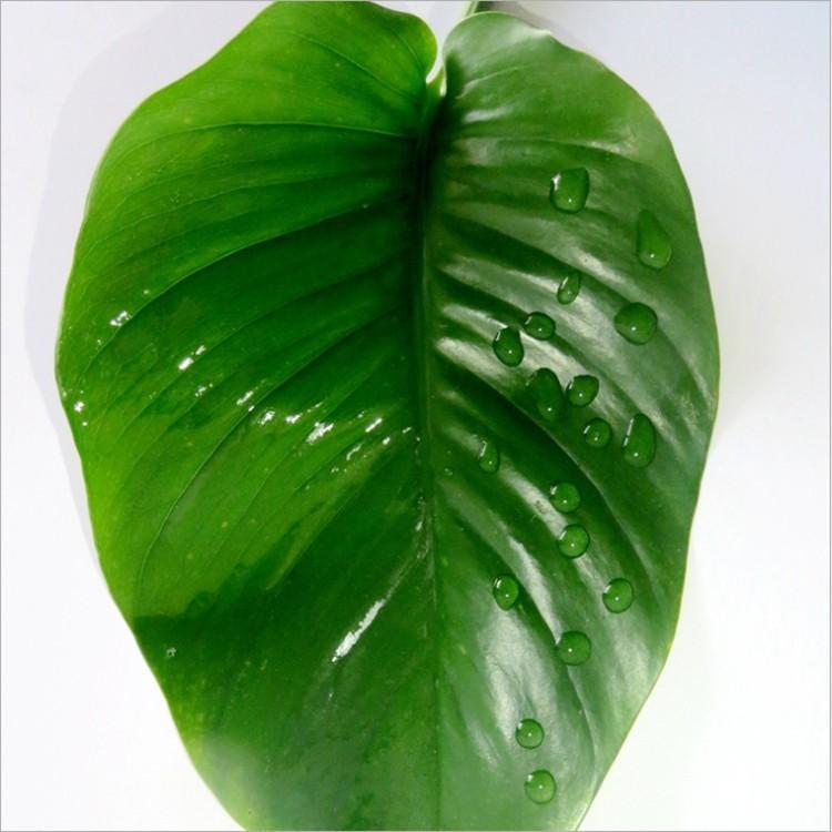 销售批发润湿流平剂高效附着力好防缩孔无色固含50的增效剂