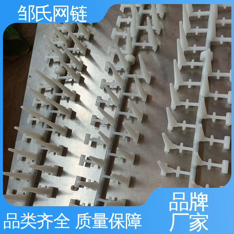 尼龙塑料网带 酒杯水杯玻璃器皿清洗烘干输送带 运行平稳坚固 邹氏