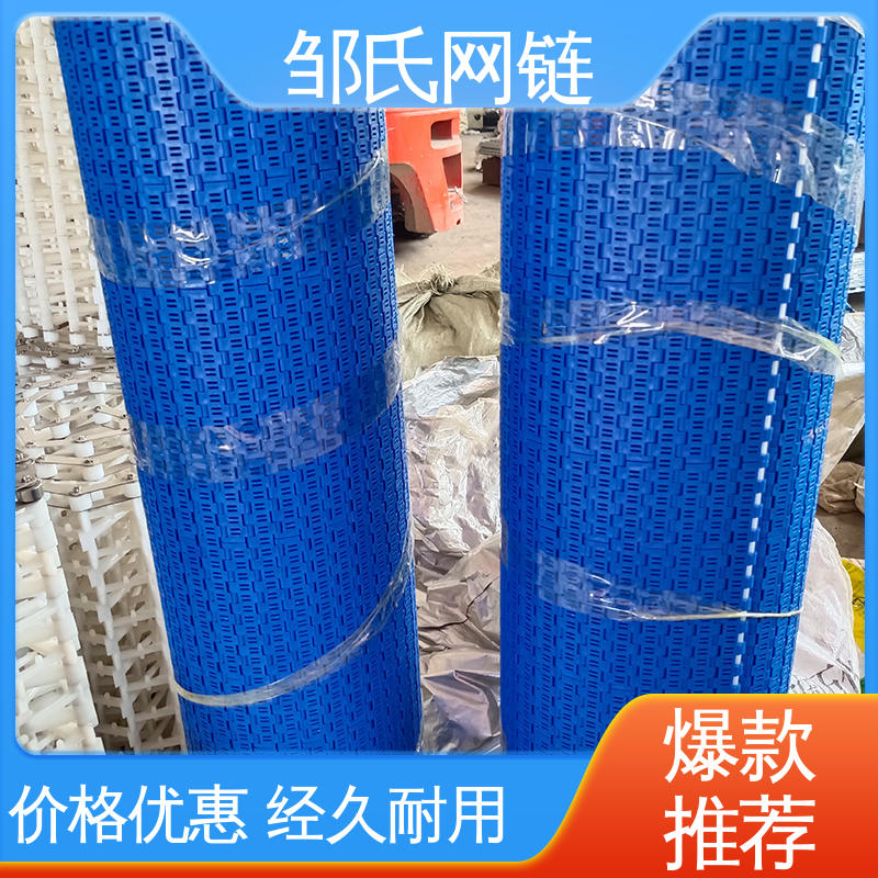 尼龙塑料网带 相机镜头灰尘污垢清洗输送带 耐高温耐磨 邹氏