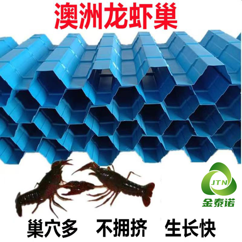 高密度立体化龙虾巢穴 蟹苗养殖屋 蓝色黑色直通型塑料片 金泰诺