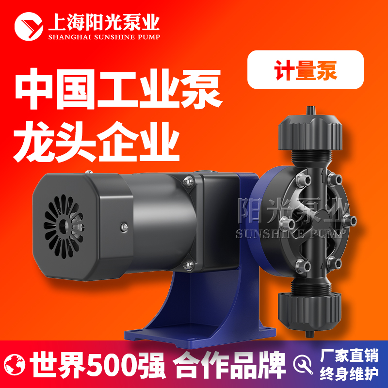 DJ-W型机械隔膜计量泵无泄漏耐酸碱驱动机械泵不锈钢加药泵