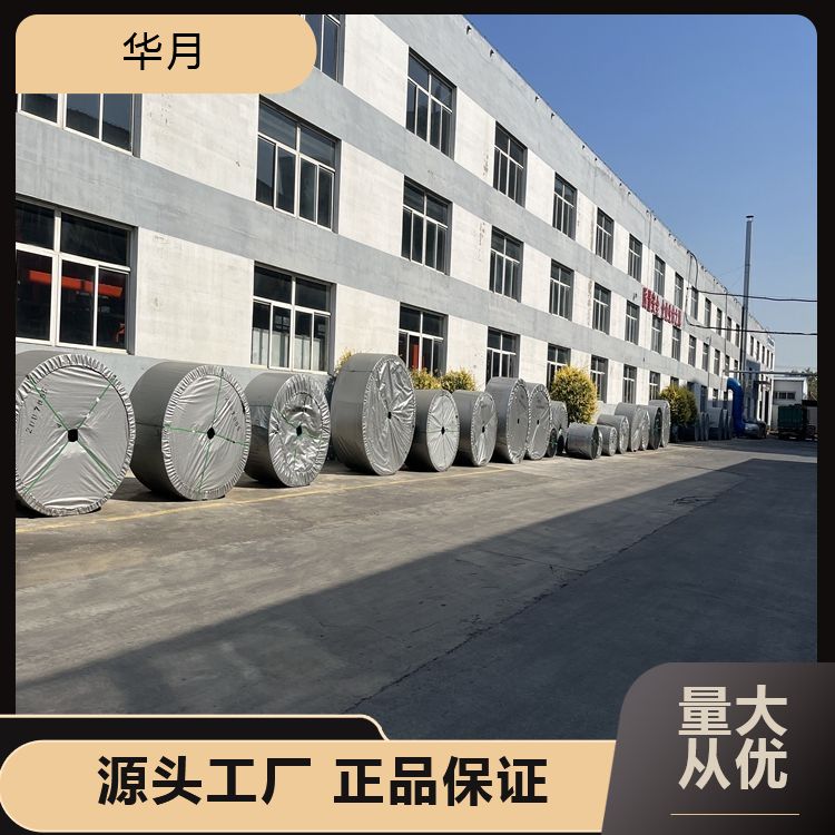 聚酯人字尼龙输送带 材质聚酯网 耐磨耐高温 工厂生产