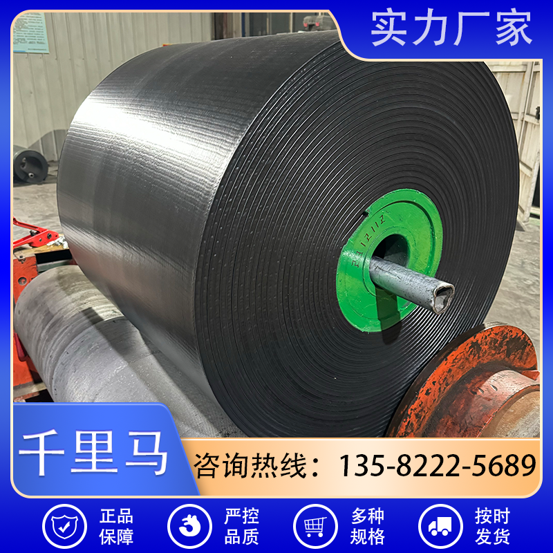 千里马耐高温尼龙输送带生产厂家 网带支持定制 耐磨耐用