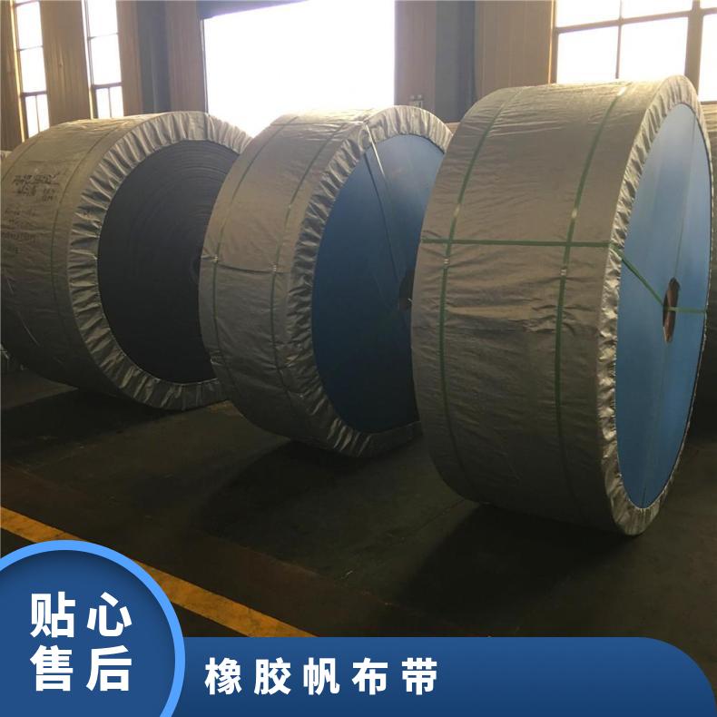 凯宇品牌B300-B2200MM耐磨尼龙输送带标准件耐酸碱阻燃