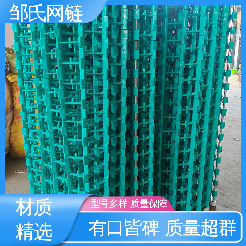 尼龙塑料网带 锅具茶具污垢细菌清洗输送带 运行平稳坚固 邹氏