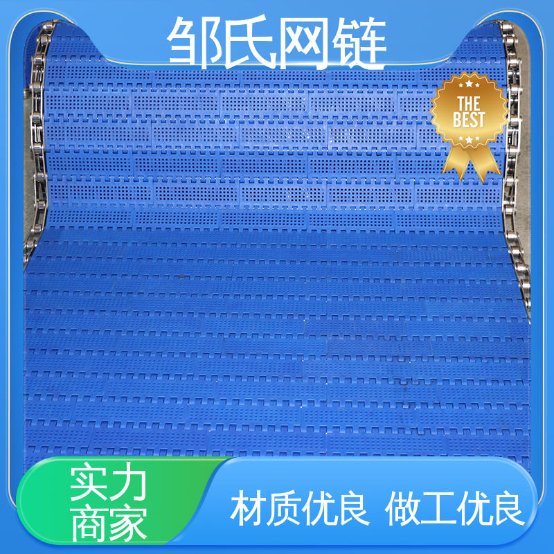 洗碗机塑料链板 巴氏杀菌设备食品包装尼龙输送带 简单易维修 邹氏