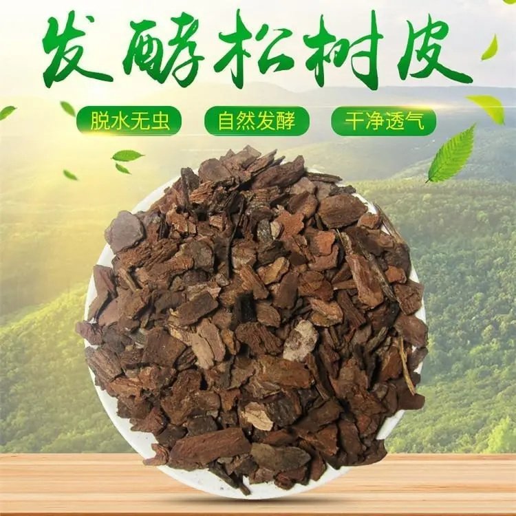 天然大块松树皮松鳞卓栩规格5-8厘米 复混肥填充增效剂 现货批发