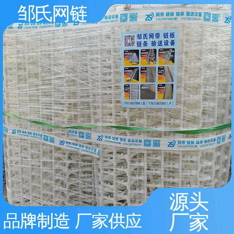 尼龙塑料网带 相机镜头灰尘污垢清洗输送带 运行平稳坚固 邹氏