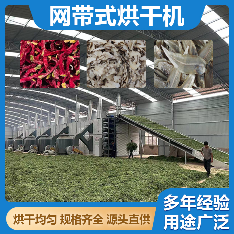 振科 中药材网带式烘干机 多层网带烘干输送机 蔬菜水果干燥机设备